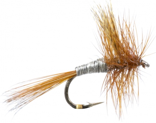 The Essential Fly Cahill Dark Fishing Fly